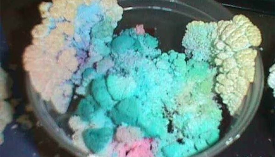Photo Credit: http://department.monm.edu/portfolio/ksheets/images/crystal_garden_one.JPG?__SQUARESPACE_CACHEVERSION=1223045520314 Grow Flowers From Coal