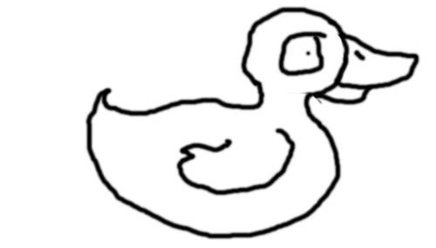 Duck Drawing Animal