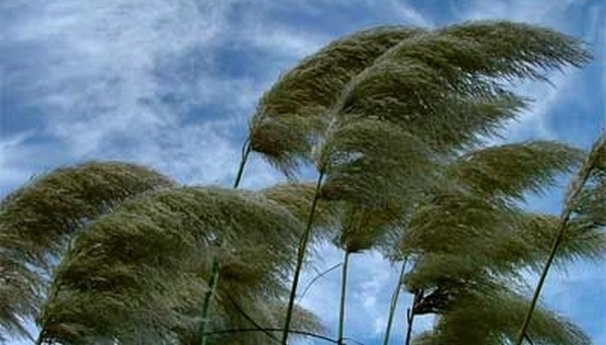 Photo Credit: kidsgeo.com How Is Wind Speed Related to Pressure Gradient?