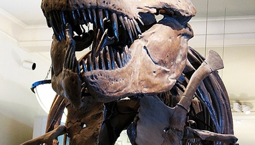 No one ever found human and dinosaur fossils together; relative fossil dating tells us they did not coexist. No one ever found human and dinosaur fossils together; relative fossil dating tells us they did not coexist.