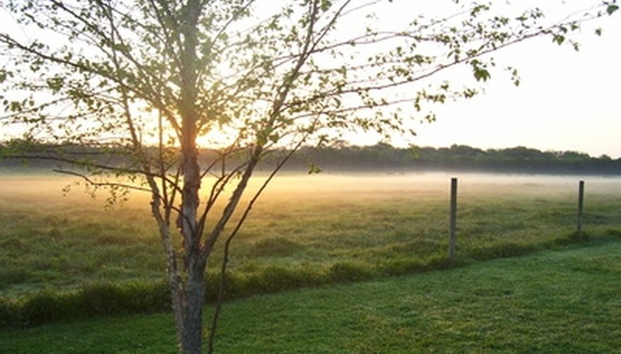 Many people visit the rural area around Texas A&M for romantic getaways. Many people visit the rural area around Texas A&M for romantic getaways.