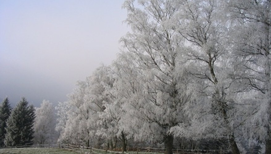 Ontario's countryside dresses up for the winter. Ontario's countryside dresses up for the winter.