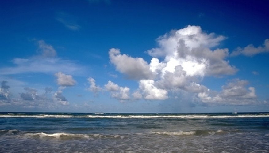 The beaches in Florida gives couples a chance to play and relax under the sun. The beaches in Florida gives couples a chance to play and relax under the sun.