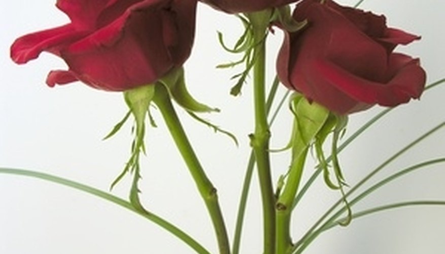 Many consider roses as the ultimate romantic flower. Many consider roses as the ultimate romantic flower.