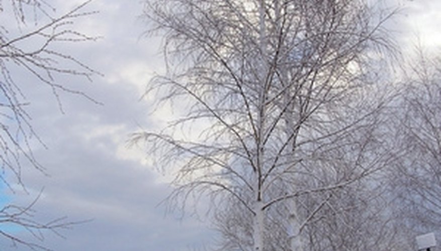 Enjoy a romantic winter vacation. Enjoy a romantic winter vacation.