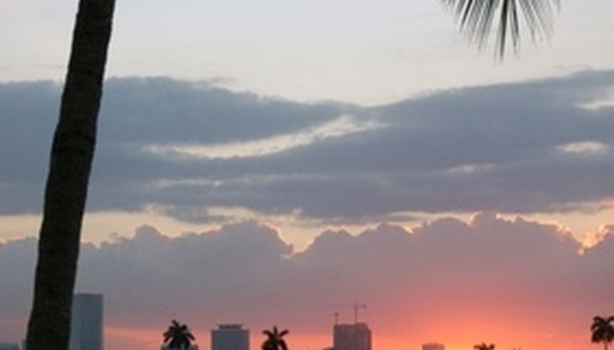 There's plenty of romance in Miami. There's plenty of romance in Miami.