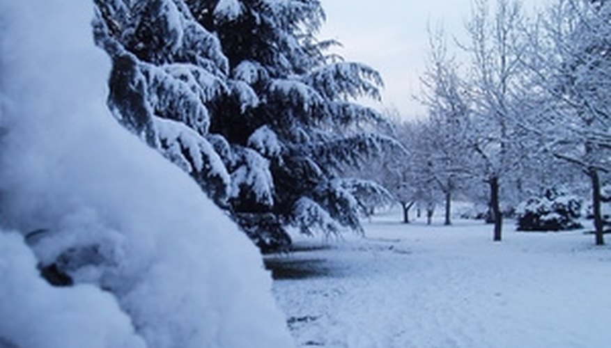 Winter weddings can be as romantic as summer weddings Winter weddings can be as romantic as summer weddings