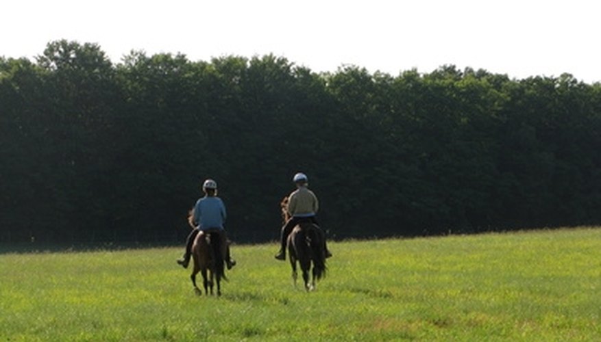 A scenic ride on horseback is a romantic date option. A scenic ride on horseback is a romantic date option.