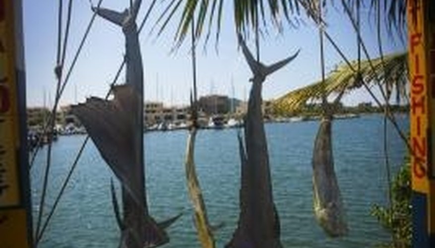 Many tourists visit Mexico for the deep-sea sport fishing. Many tourists visit Mexico for the deep-sea sport fishing.