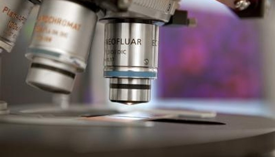 Photo Credit: Noel Hendrickson/Digital Vision/Getty Images A lensometer is essentially a modified microscope used for reading lens strength.