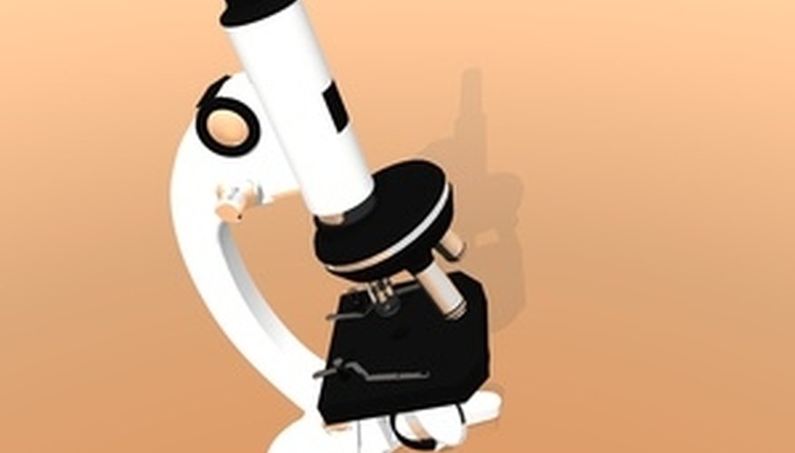 Photo Credit: microscope image by dead_account from <a href='http://www.fotolia.com'>Fotolia.com</a> Compound microscope
