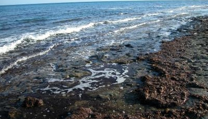 Photo Credit: Jupiterimages/Photos.com/Getty Images Tides are a type of wave.