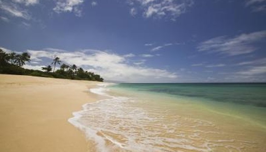 Photo Credit: Comstock Images/Comstock/Getty Images Sand crabs quickly burrow back into the sand when the waves wash them from their burrows.