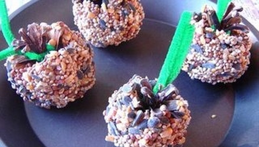 Edible bird treats