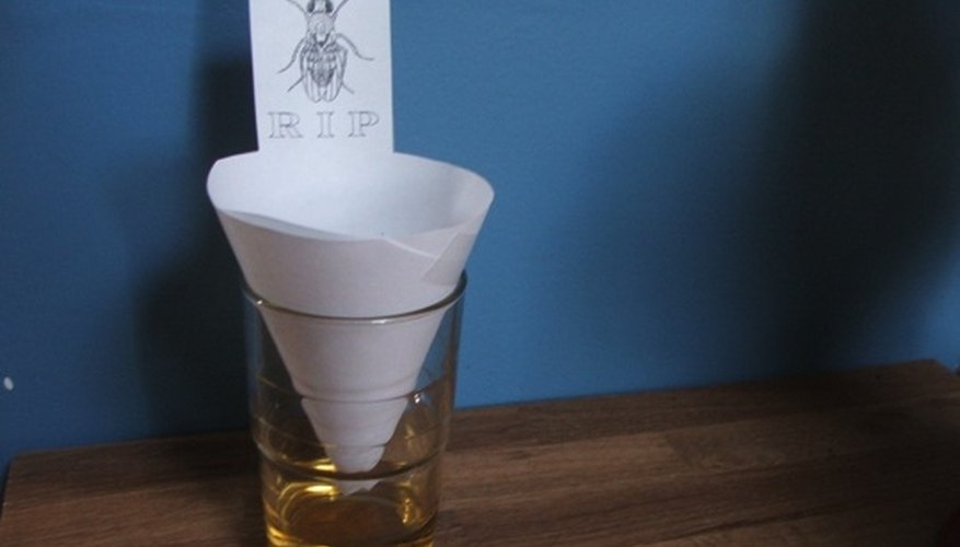 Create a Fruit Fly Trap Create a Fruit Fly Trap