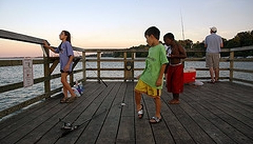 What Bait to Use When Shore Fishing