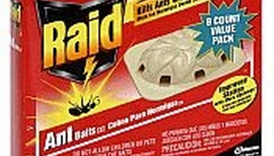 RAID Ant Bait Traps RAID Ant Bait Traps