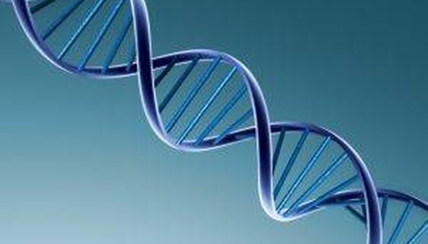 Photo Credit: Rodolfo Clix How Does DNA & RNA Differ?