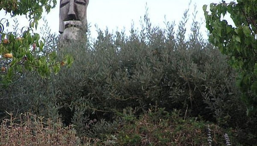 Tree trunk totem pole Tree trunk totem pole