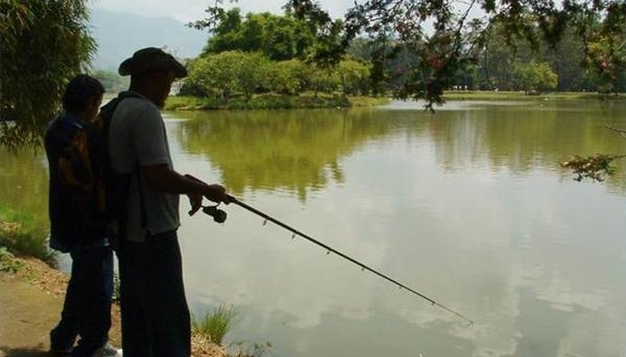 Fishing in sunny weather