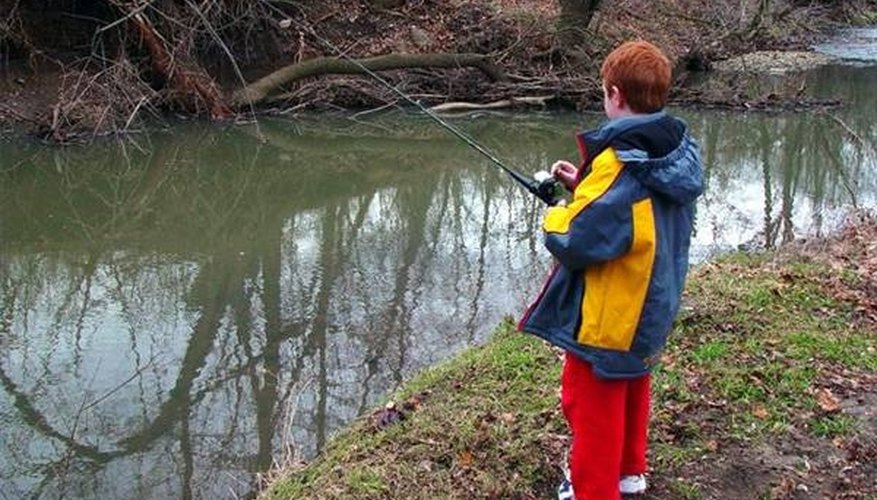 Photo Credit: http://www.morguefile.com/ How Does Weather Affect Fish Behavior?