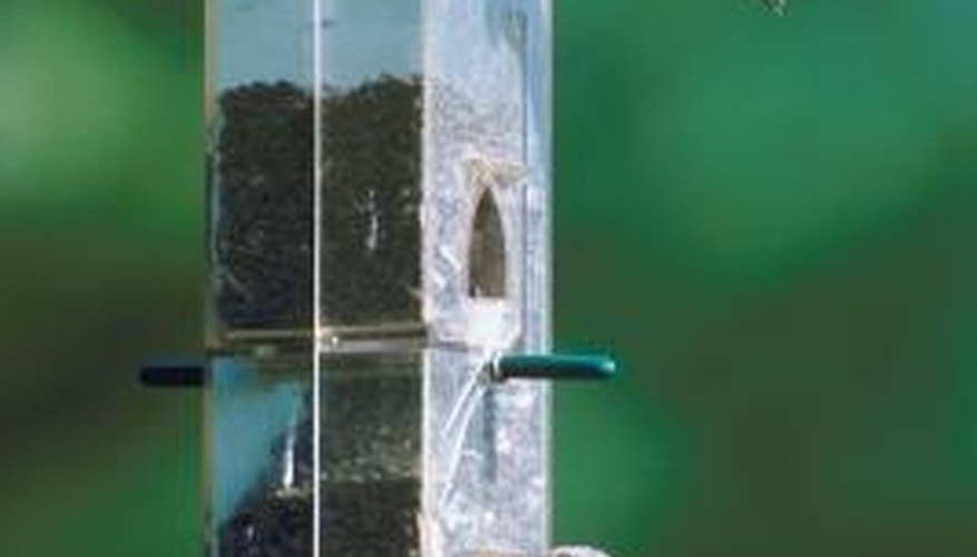 Treat finches to a welcoming environment in your garden. Treat finches to a welcoming environment in your garden.