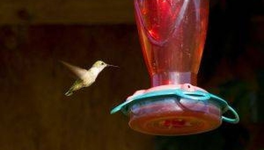 Photo Credit: BJEarwicke Make Hummingbird Food for Feeders