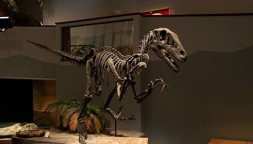 Utahraptor