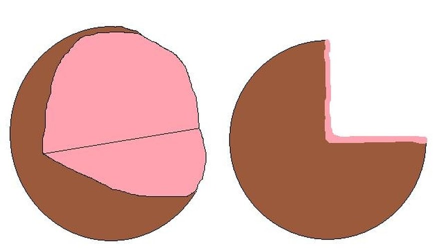 The pink interior represents cytoplasm.