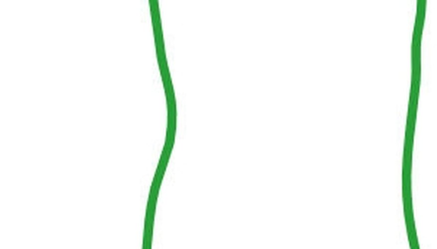 A large green outline represents the cell wall.