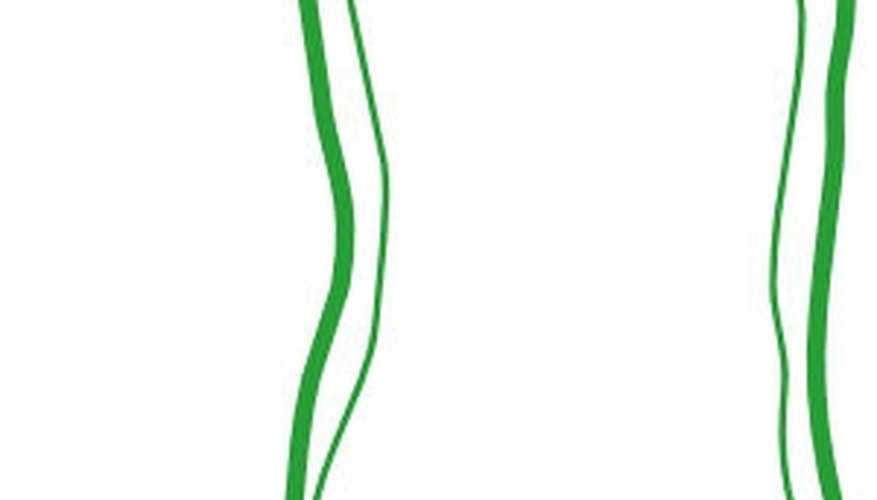 A second outline represents the cell membrane.