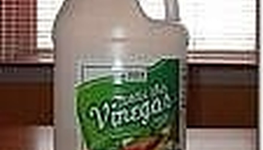vinegar vinegar
