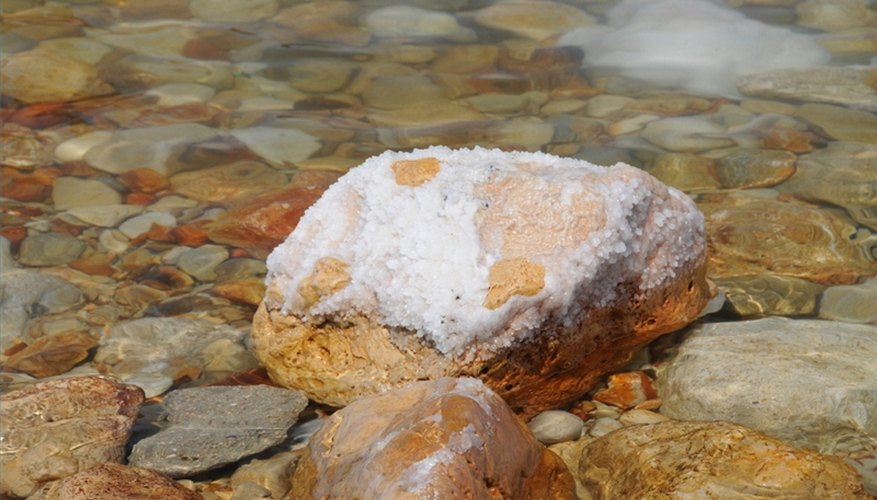 The Dead Sea