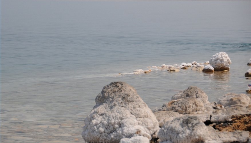 Photo Credit: jrover: Flickr, jrover: Flickr,goldberg: Flickr Can Anything Live in the Dead Sea?