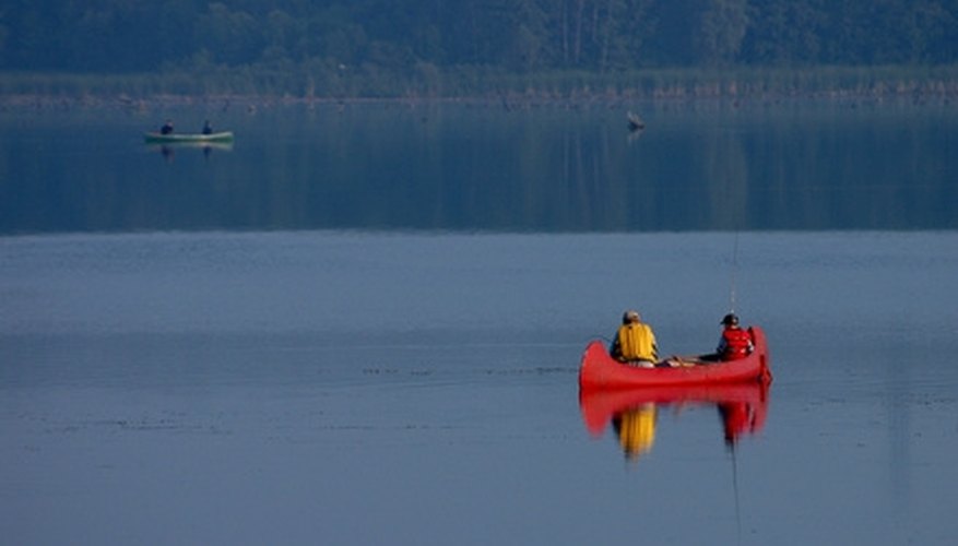 How to Troubleshoot a Bottom Line Fishin' Buddy II