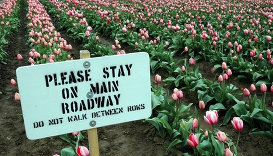Only use outdoor paint that is meant for the material of the sign. Only use outdoor paint that is meant for the material of the sign.