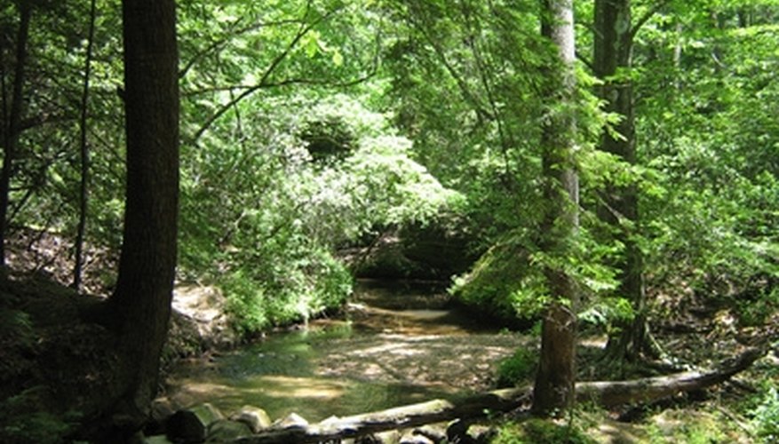 TVA Hunting Land in Alabama