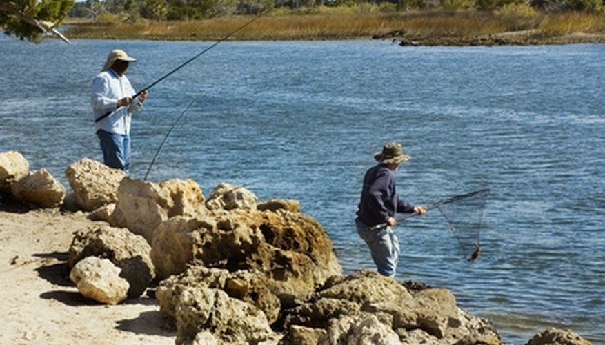 How to Fish for Salmon on the Sacramento River