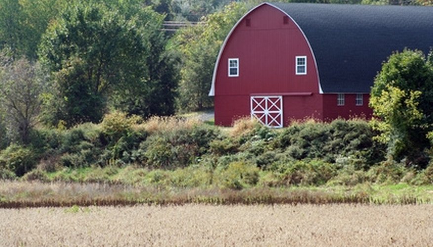 Some paint formulated for barns is still oil-based. Some paint formulated for barns is still oil-based.