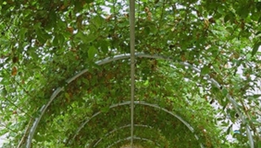 Large pergolas can arch over a path. Large pergolas can arch over a path.