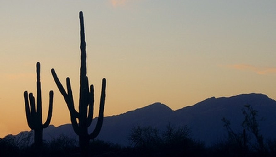 Gay Campgrounds in Arizona