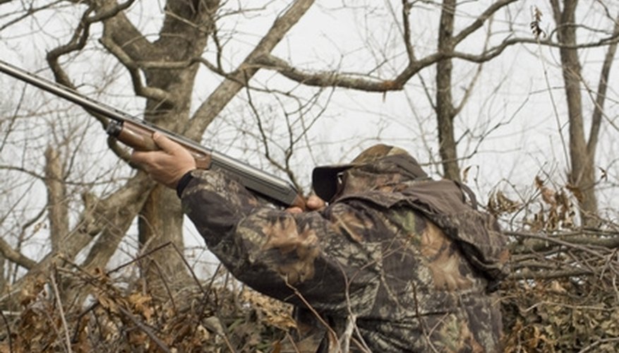 The Best Counties to Hunt on Public Land in Ohio