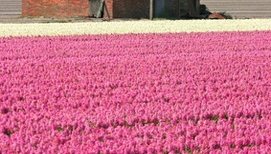 Harley rakes can help clear the way for flowerbeds. Harley rakes can help clear the way for flowerbeds.