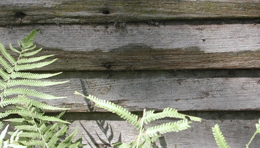 Lap siding is a siding style in which the boards overlap slightly to create a clean, finished look. Lap siding is a siding style in which the boards overlap slightly to create a clean, finished look.