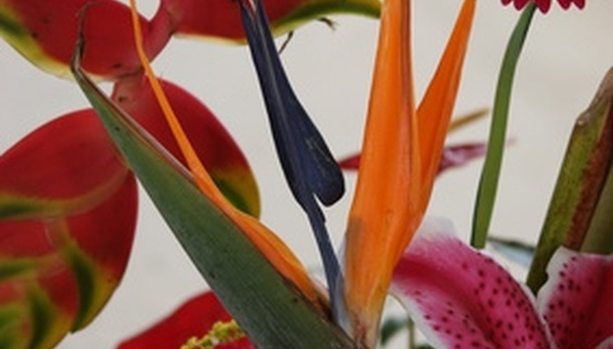You can make a modern flower arrangement using a few tips. You can make a modern flower arrangement using a few tips.