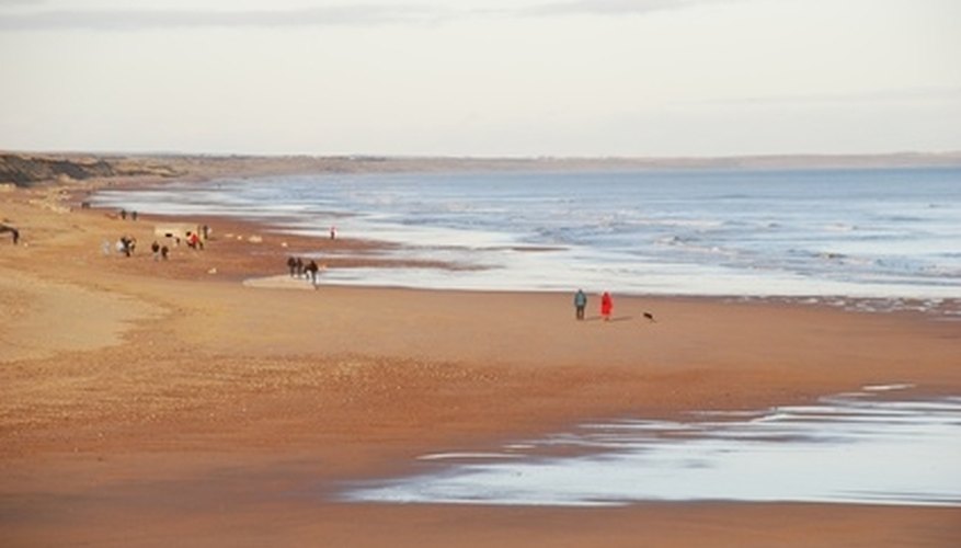 Beach Paddle Ball Rules