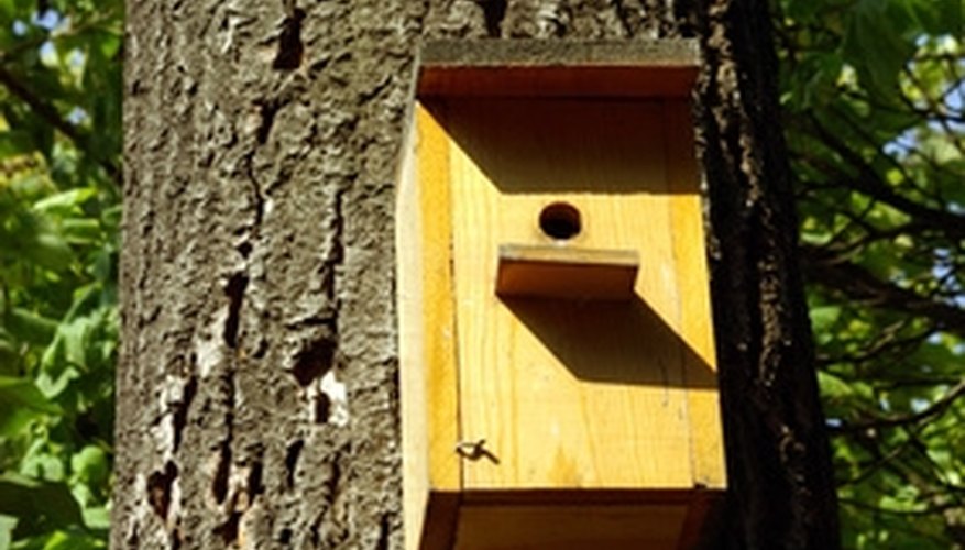 Bird houses should be sized to fit the bird you are trying to attract. Bird houses should be sized to fit the bird you are trying to attract.