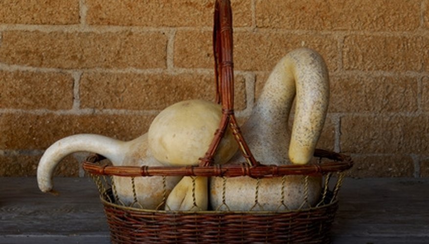 Make one or many gourds into bird houses for various birds that frequent your property. Make one or many gourds into bird houses for various birds that frequent your property.