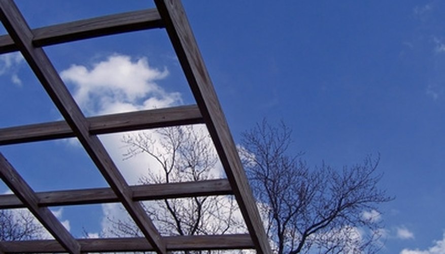 Grapevines will grow up an arbor for a visually appealing addition to your garden. Grapevines will grow up an arbor for a visually appealing addition to your garden.