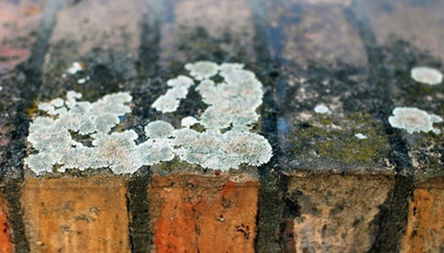 Spilled grout can cause big problems. Spilled grout can cause big problems.
